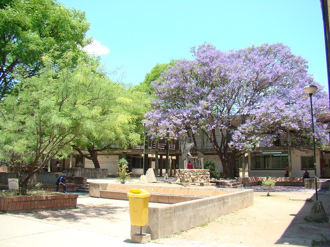 aula norte