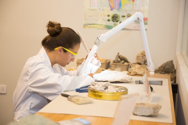 laboratorios de la unsa