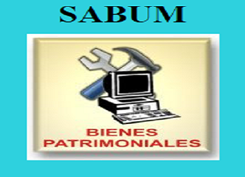 Icono del sistema patrimonial