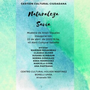 Flyer muestra de artes visuales