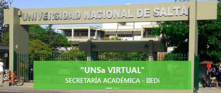 unsa virtual