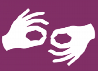 bandera de LSA