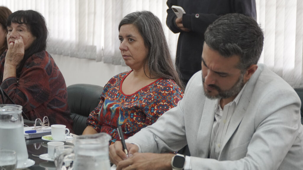 Reu Mansilla (6 de 18)