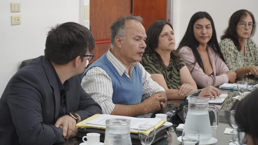 Reu Mansilla (7 de 18)