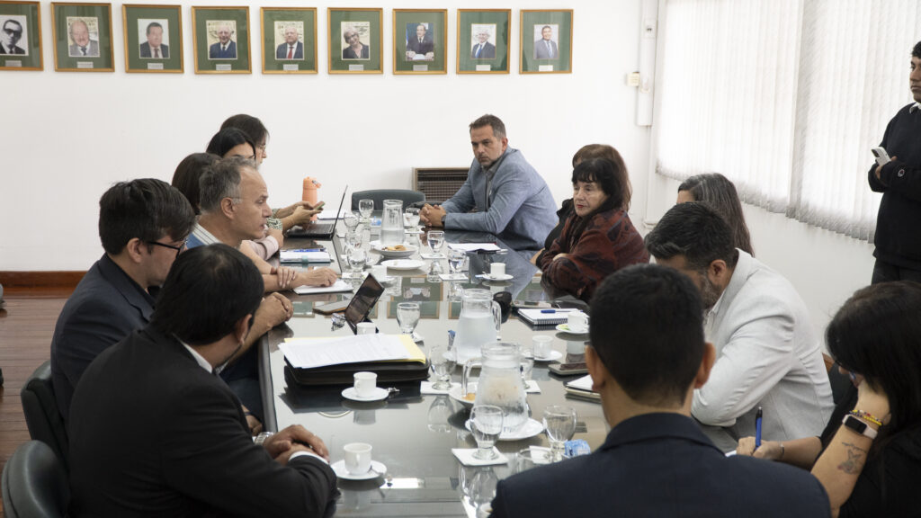 Reu Mansilla (8 de 18)