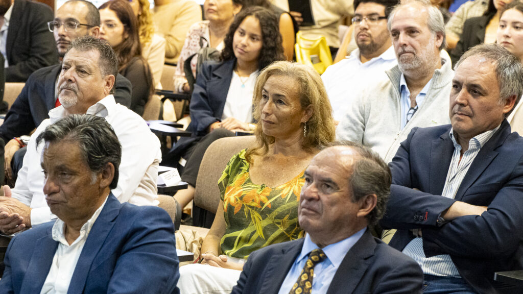 Diplo de Liderazgo (23 de 38)