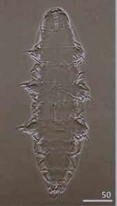 WhatsApp Image 2026-03-13 at 09.12.47