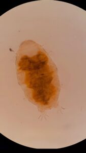 WhatsApp Image 2026-03-13 at 09.12.49