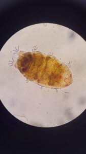 WhatsApp Image 2026-03-13 at 09.15.45