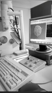 WhatsApp Image 2026-03-13 at 09.15.4559