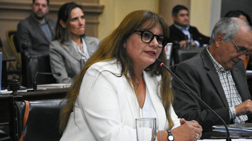 UNSa Transparencia Diputados (9).jpg